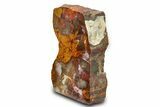 Colorful Petrified Wood Stand Up - Utah #299246-2